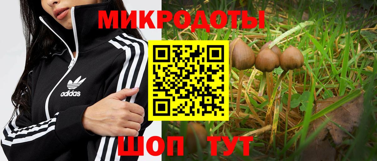 Тейково  Галлюциногенные грибы Cubensis  Галлюциногенные грибы Psilocybe  Вход с VPN 