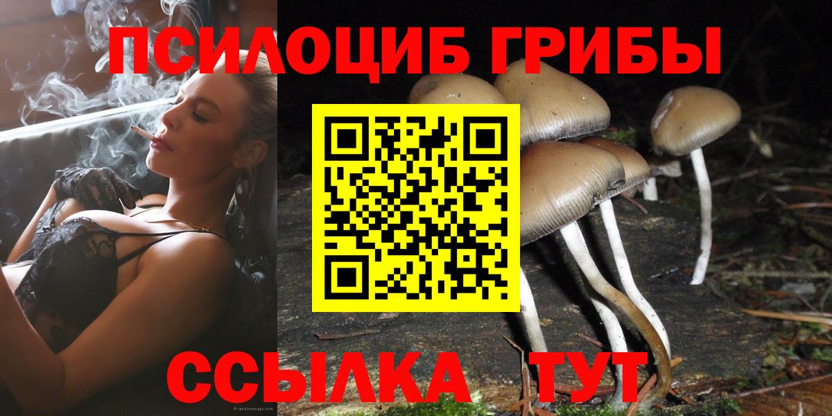 Псилоцибиновые грибы мицелий  Псилоцибиновые грибы MAGIC MUSHROOMS  Тейково 