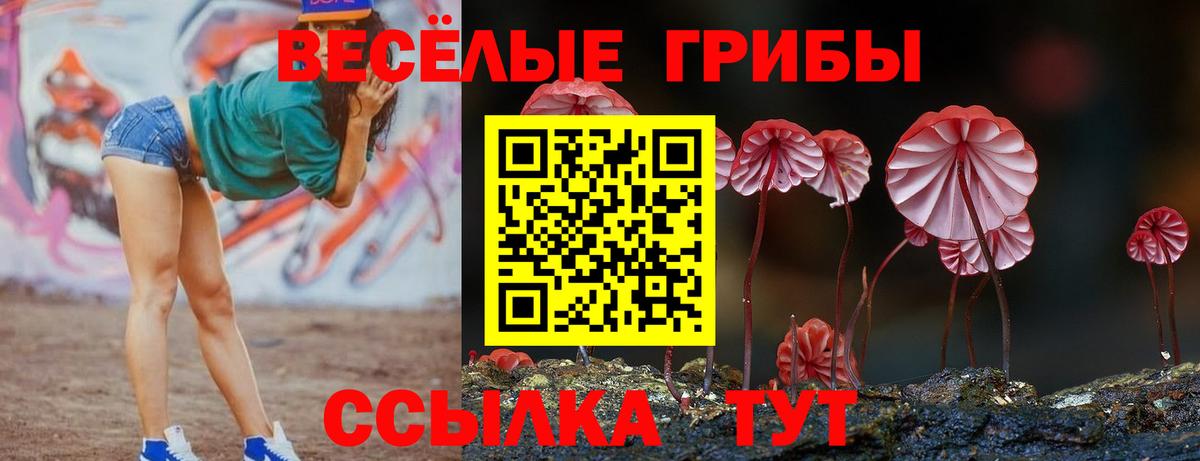 Кокаин  МАРИХУАНА  ГАШ  Тейково  Вход с VPN  Alpha PVP СК кристаллы  Мефедрон кристаллы  Купить наркоту 
